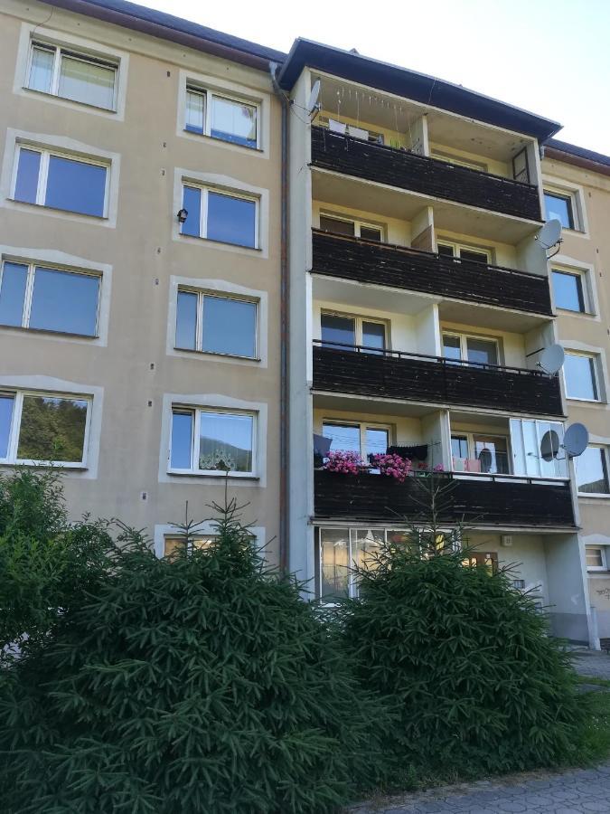 Апартаменты Apartman 21 Лоучна-над-Десноу Экстерьер фото